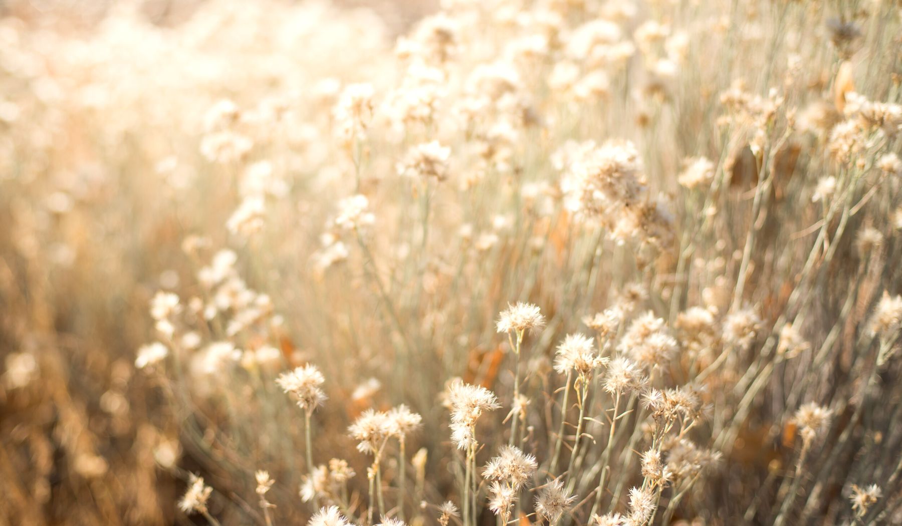 Comment être tendance pendant le mois d’avril ? | E&C